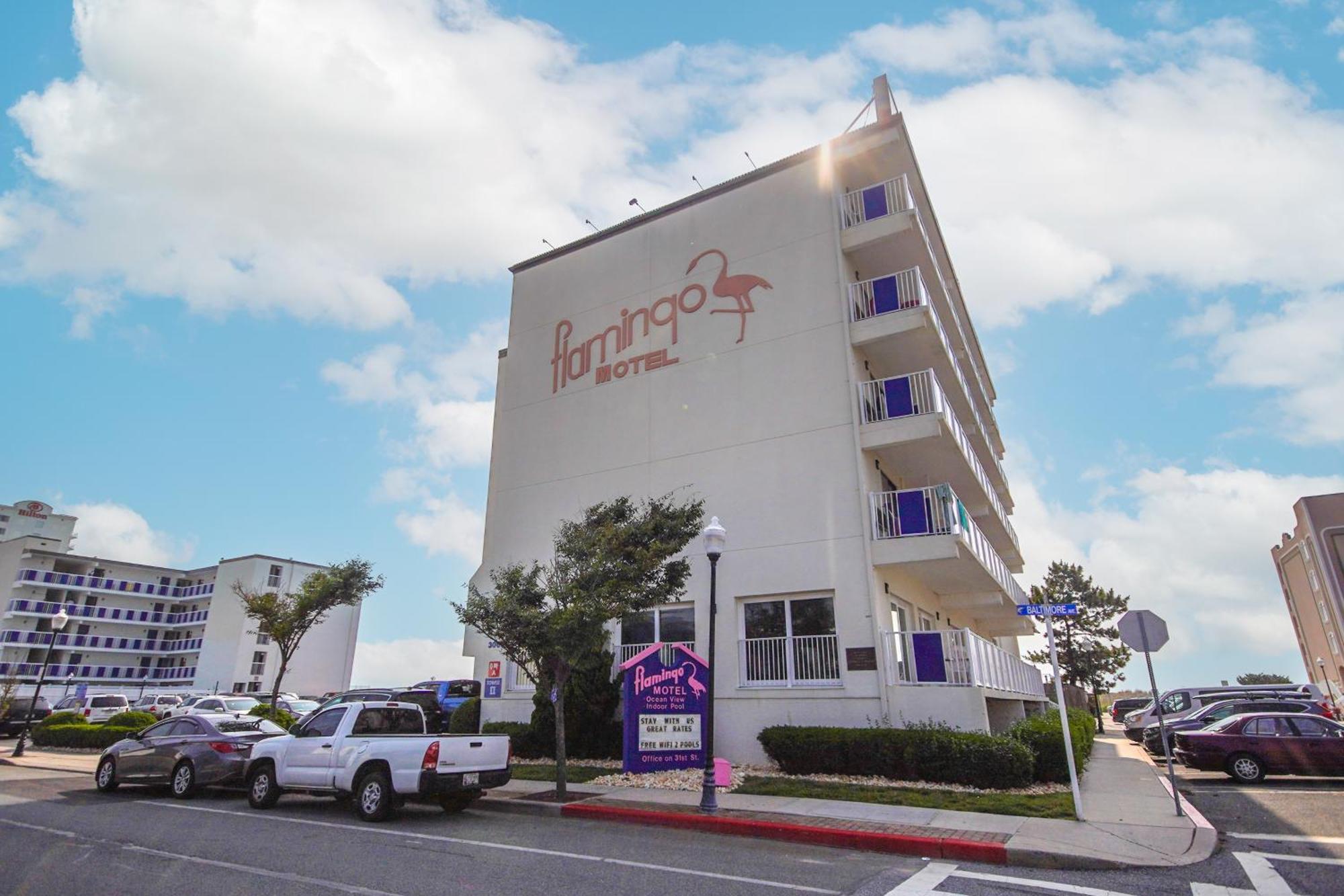 Flamingo Motel Ocean City Exterior photo
