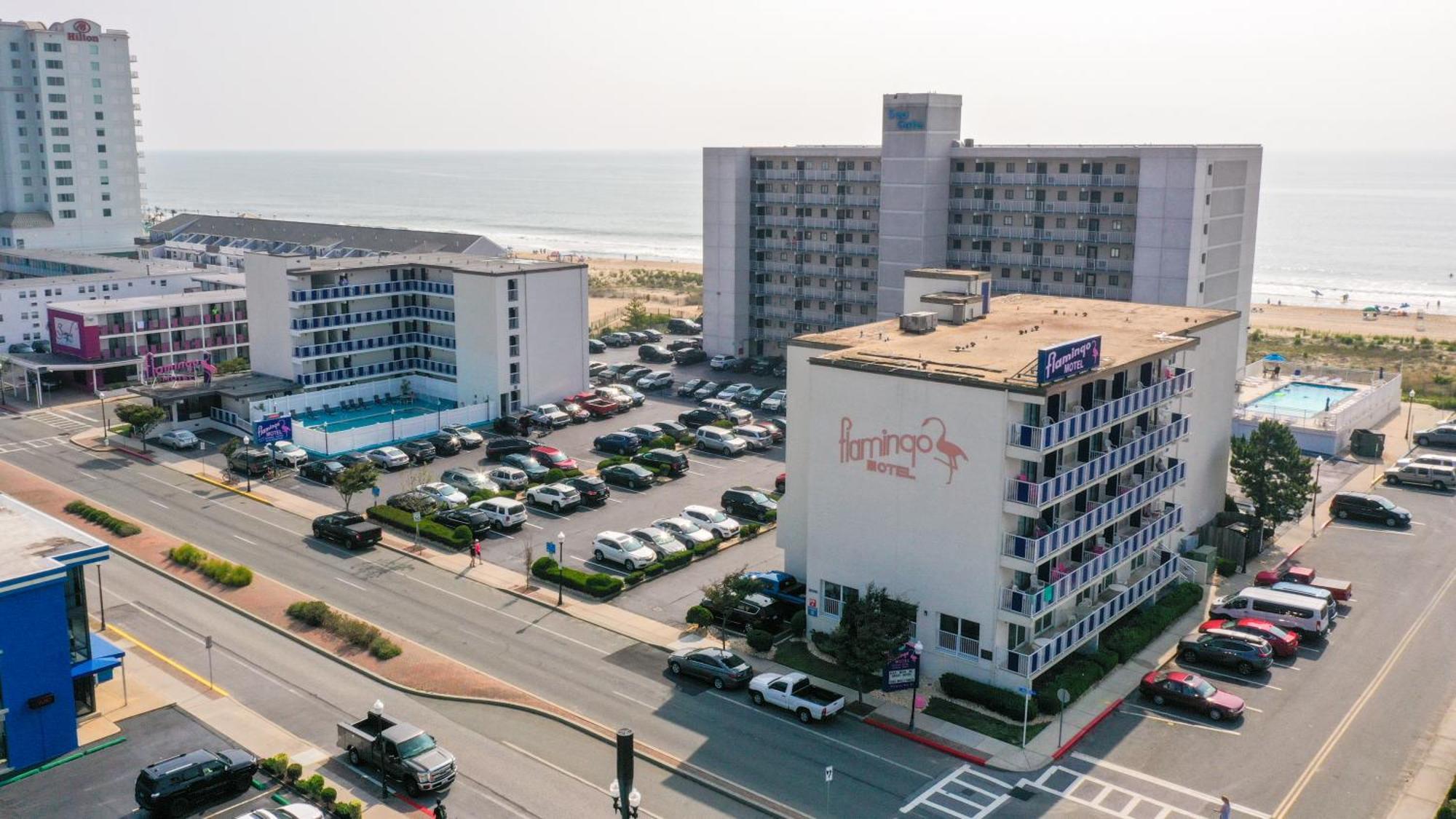 Flamingo Motel Ocean City Exterior photo