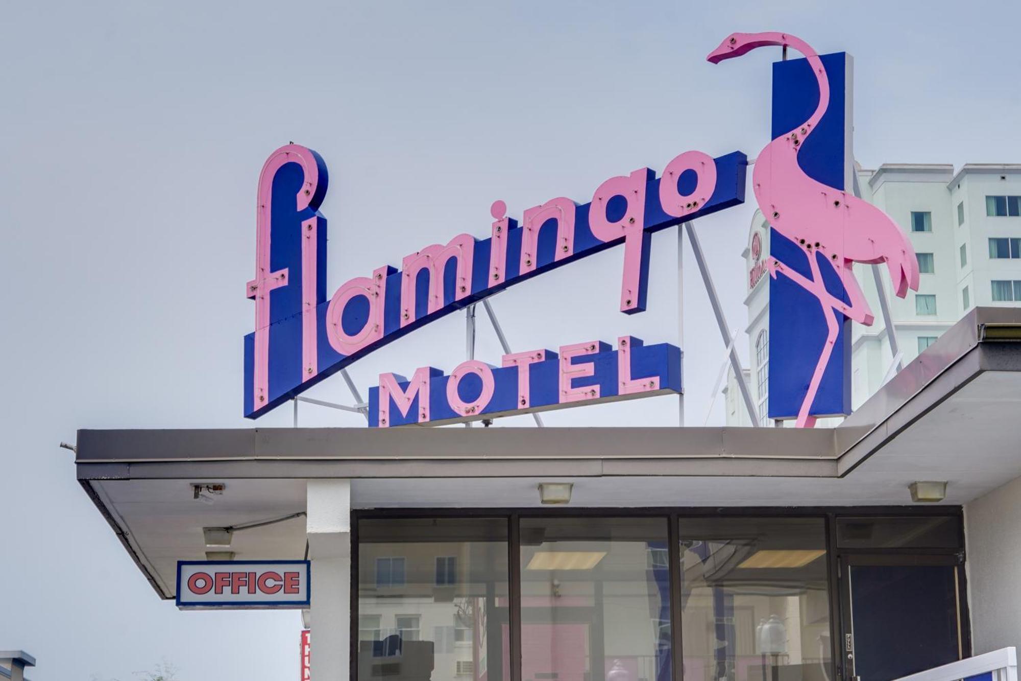 Flamingo Motel Ocean City Exterior photo