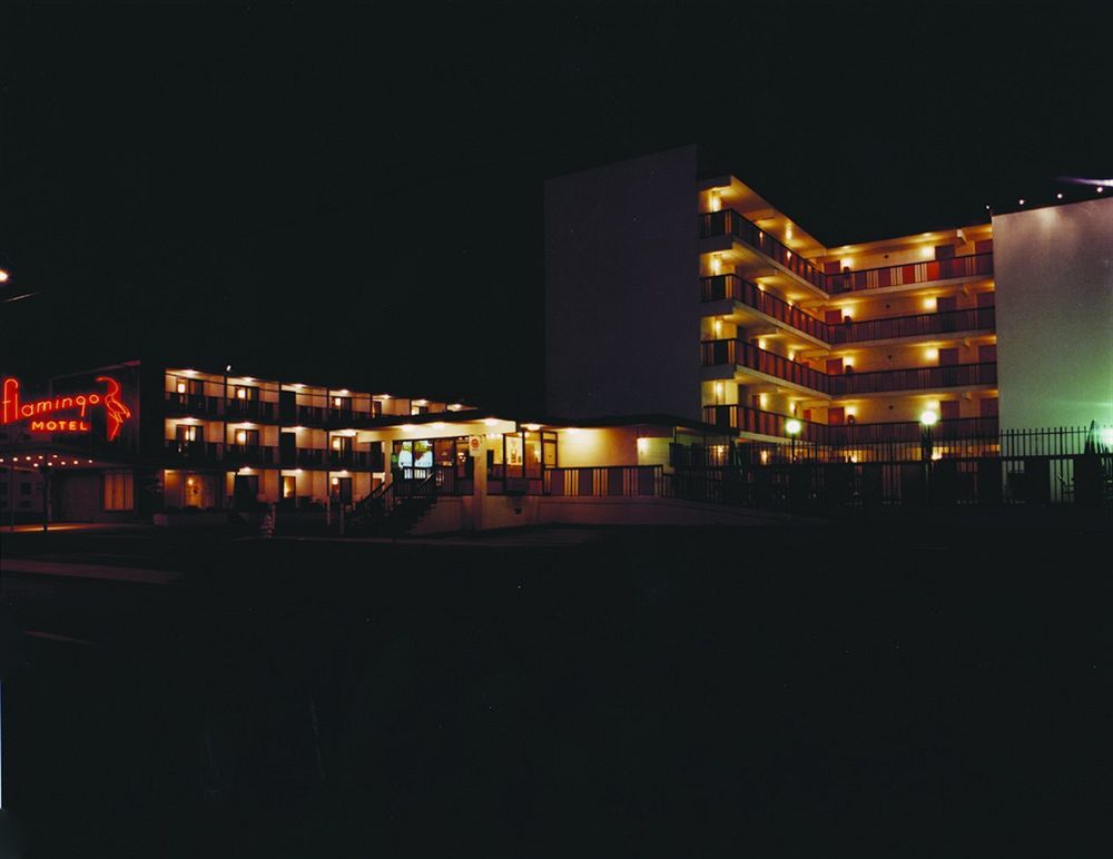 Flamingo Motel Ocean City Exterior photo